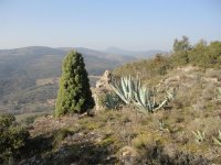 Rando du sentier des Garrigues0023 ©CDRP34 ©CDRP34