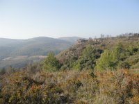 Rando du sentier des Garrigues0015 ©CDRP34 ©CDRP34