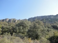 Rando du sentier des Garrigues0011 ©CDRP34 ©CDRP34