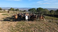 Rando du sentier des Garrigues0004 ©Gilles Delerue - ADT34 ©Gilles Delerue - ADT34