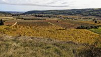 Rando du sentier des Garrigues0002 ©Gilles Delerue - ADT34 ©Gilles Delerue - ADT34