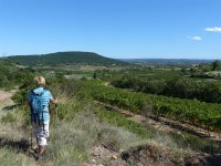 Oenorando des vignes et volcans de fontes0001 ©CDRP34 ©CDRP34