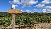 Oenorando des vignes et volcans de fontes0010 ©Gilles Delerue - ADT34 ©Gilles Delerue - ADT34